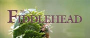 The Fiddlehead Magazine